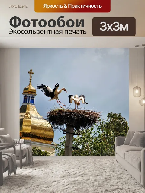 Фотообои Журавль