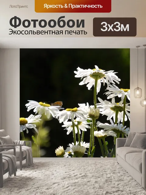 Фотообои Ромашки