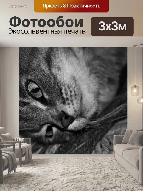 Фотообои Черно-белый