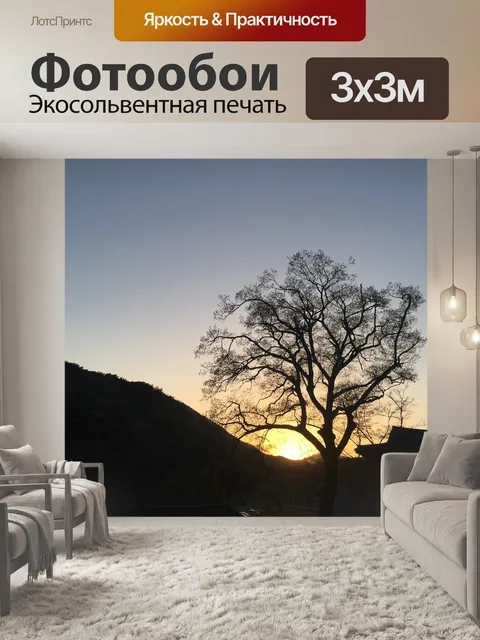 Фотообои Вечерний накал