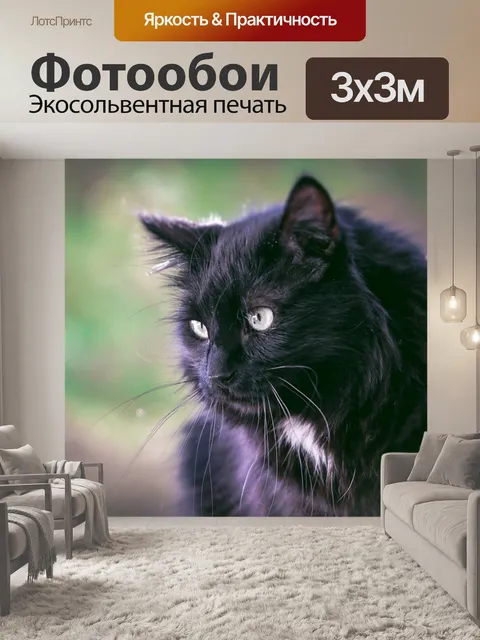 Фотообои Кошка