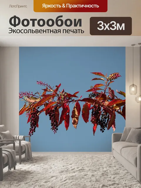 Фотообои Ягоды