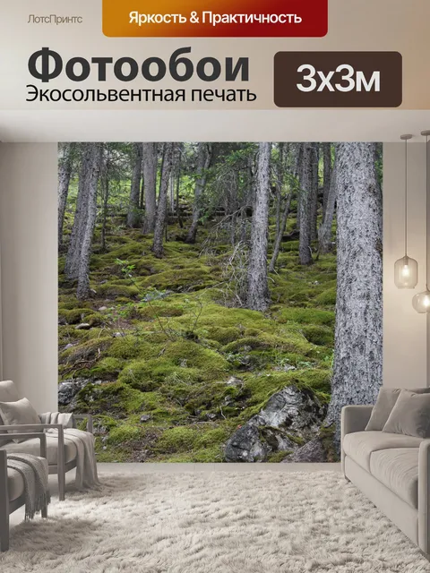 Фотообои Мшистый горный лес