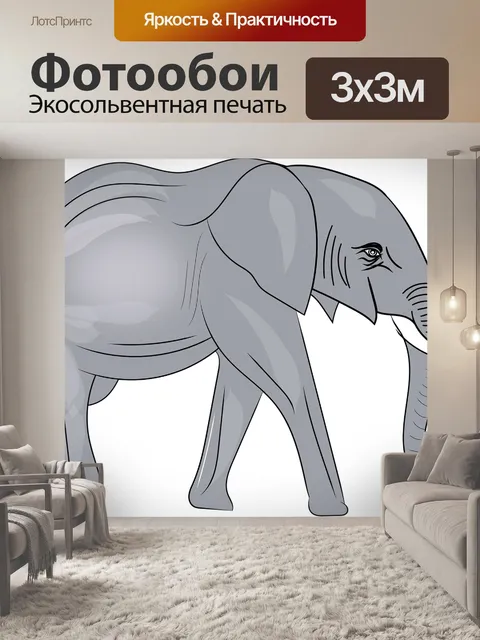 Фотообои Слон