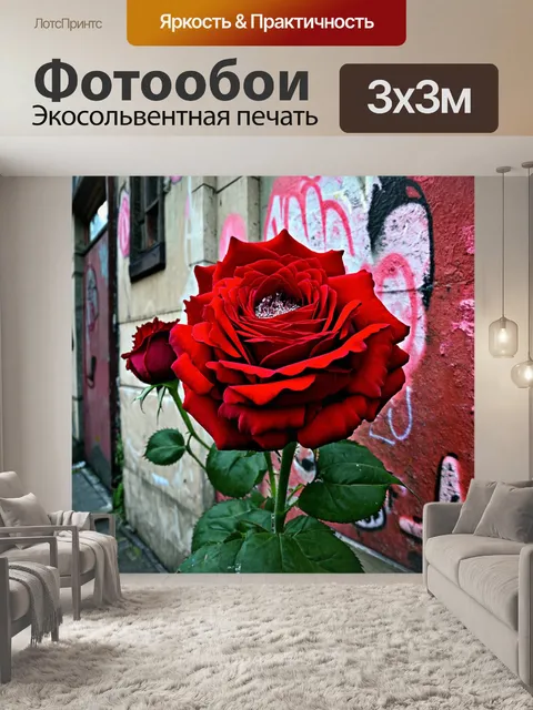 Фотообои розы в стиле готический, с изображением алых роз в сочетании со старыми граффити и уличным искусством