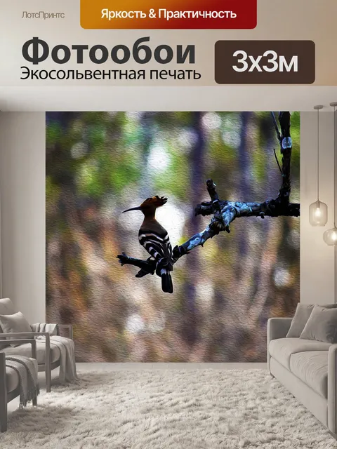 Фотообои Птица