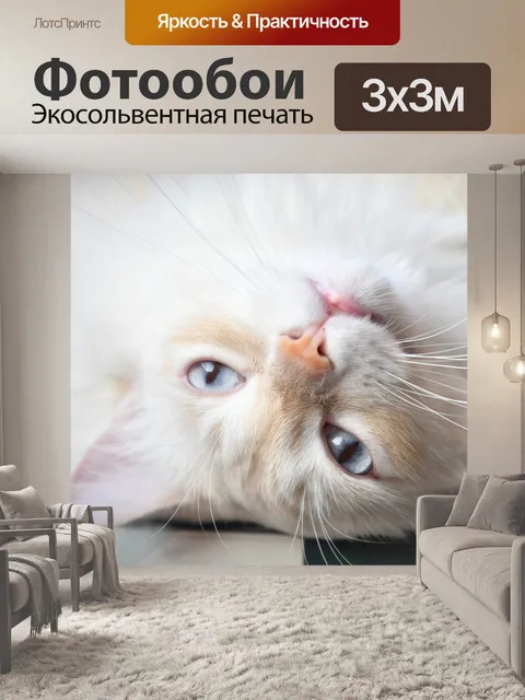 Фотообои Белый кот