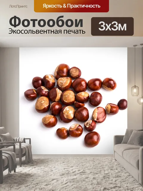 Фотообои каштаны