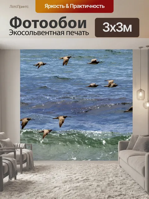 Фотообои стая кудрявых