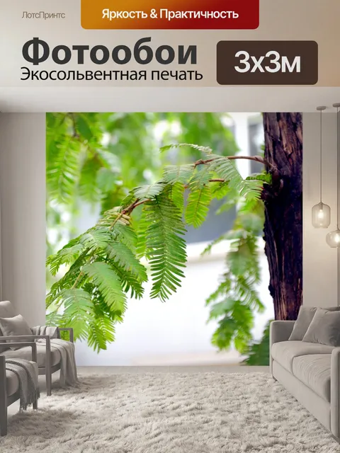 Фотообои Evergreen веточка дерева