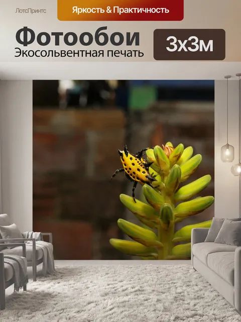 Фотообои Картинки
