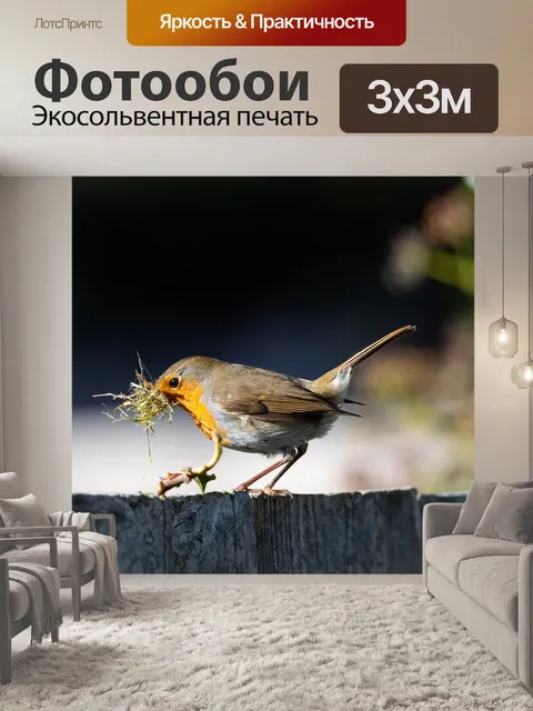 Фотообои Зарянка на забор