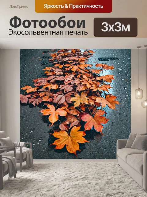Фотообои группа красновато-коричневых листьев на мокром тротуаре после дождя