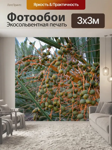 Фотообои Фрукты