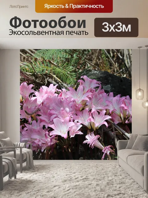 Фотообои Лилии