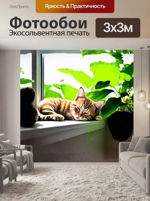 Фотообои котенок спит на подоконнике