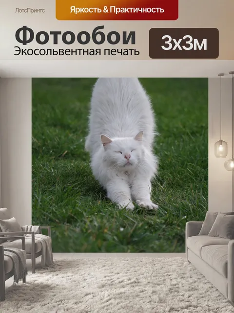 Фотообои Белый