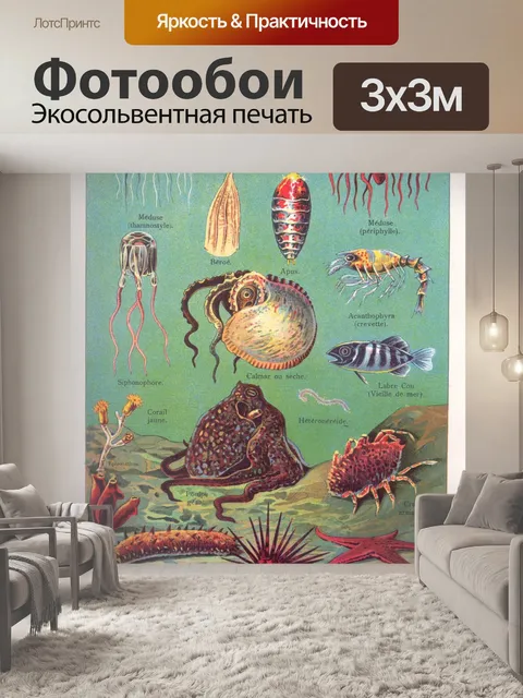 Фотообои Раковина осьминога винтажное искусство