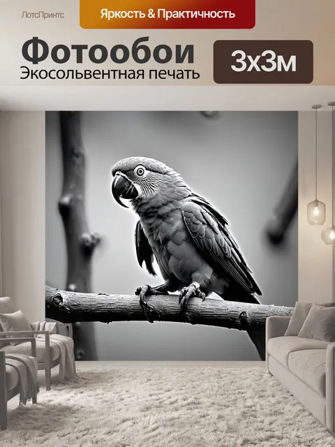 Фотообои животные в стиле черно-белый: попугай на ветке, с выразительными глазами, впитывающими окружающий мир