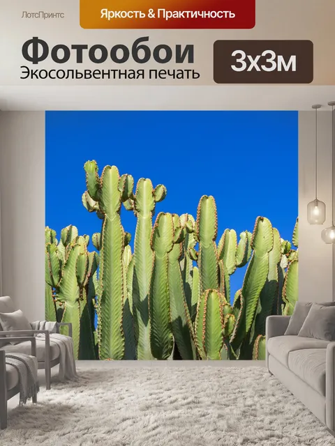 Фотообои Кактус против голубого неба