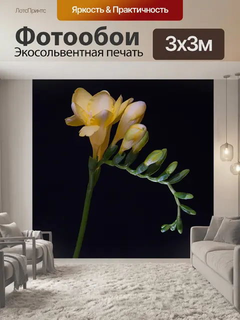 Фотообои Цветок