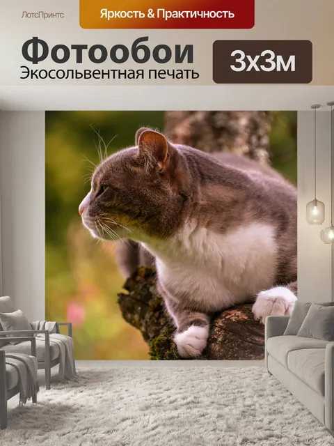 Фотообои Feline