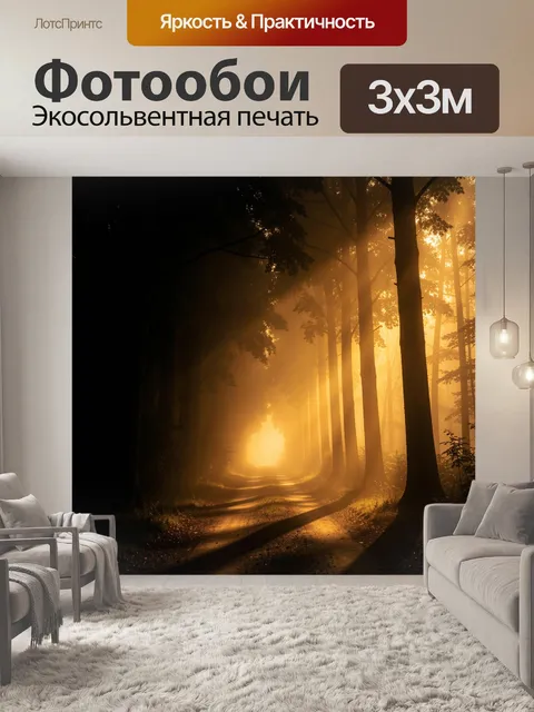 Фотообои Туманная лесная тропа на рассвете