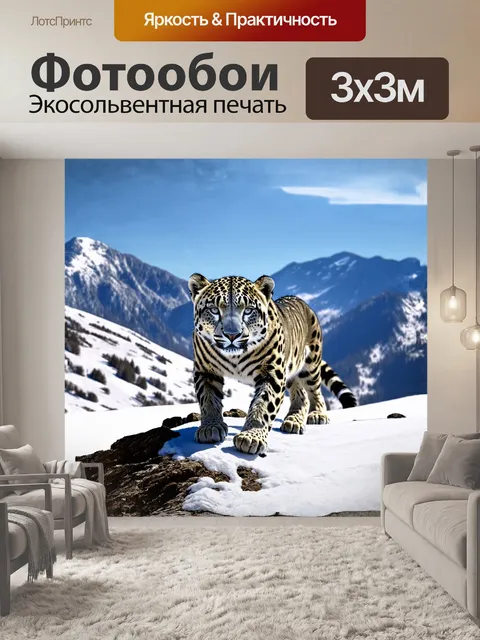 Фотообои снежный барс, изящно ступающий по заснеженной горной скале, покрытой белоснежным слоем свежевыпавшего снега
