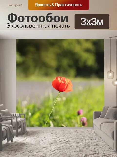 Фотообои Дикий красный мак