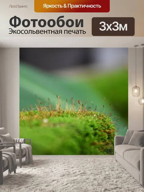 Фотообои Сезон дождей