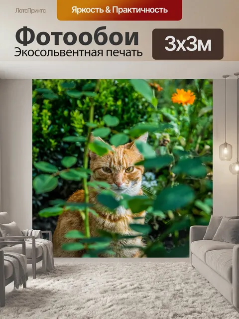 Фотообои Розы