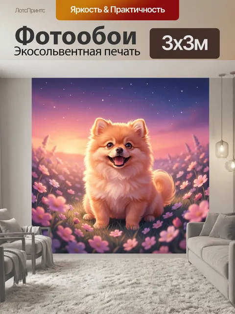 Фотообои Пушистый шпиц в цветущем поле