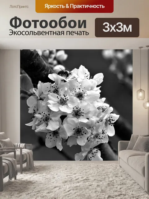 Фотообои Цветет груша в черно-белом