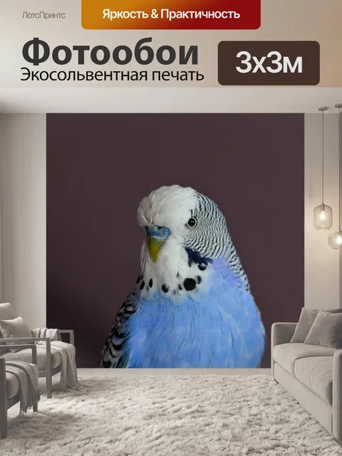 Фотообои Волнистый попугайчик