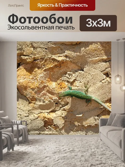 Фотообои Зелёная ящерица