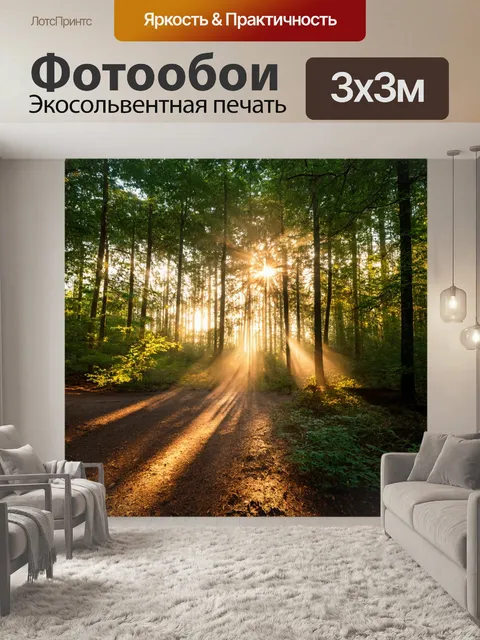 Фотообои кромка утреннего леса, где солнечные лучи пробиваются сквозь густую листву, создавая узоры света на земле
