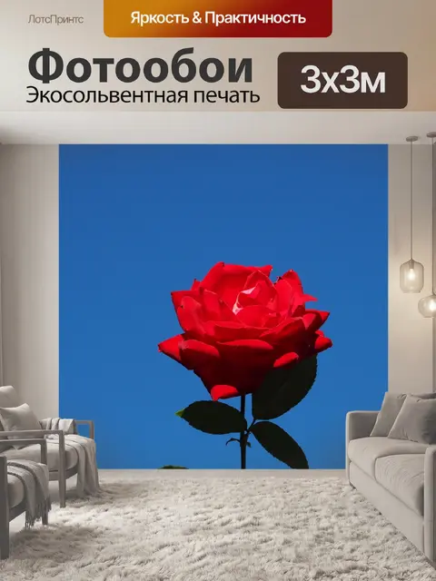 Фотообои Роуз