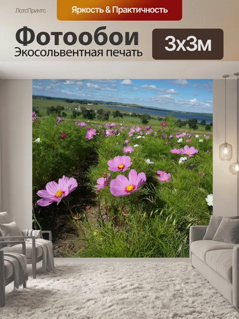 Фотообои Цветы