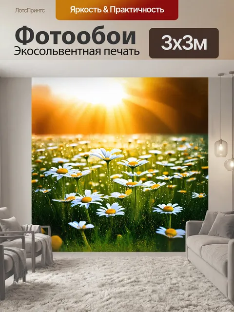 Фотообои описание: поля ромашек, усыпанное росой на утреннем солнце