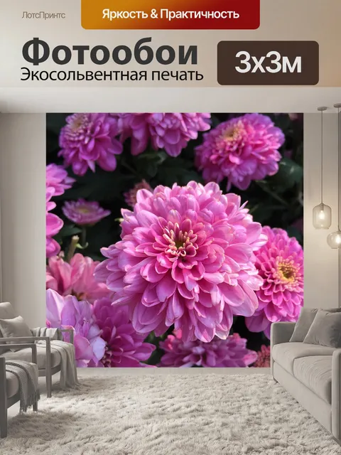 Фотообои Хризантема