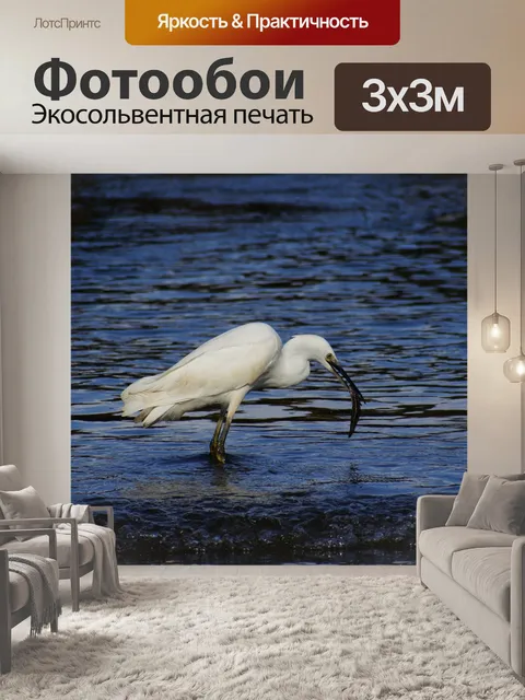 Фотообои Животное