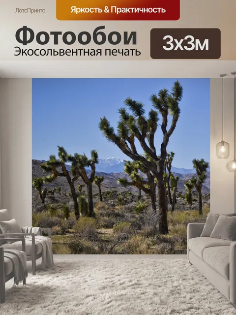 Фотообои Национальный парк Джошуа-Три