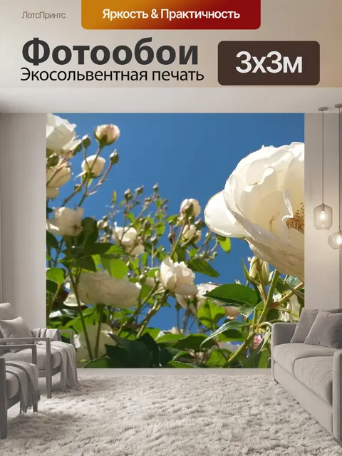 Фотообои Белые розы небо