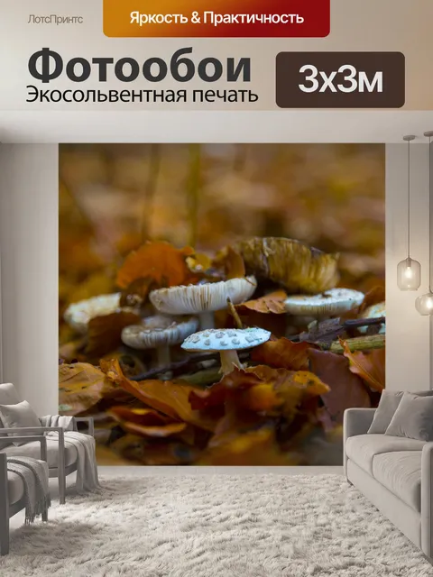 Фотообои грибы