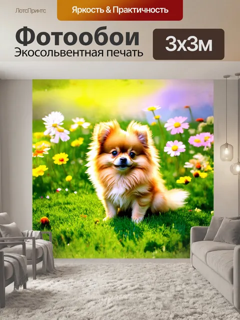 Фотообои миниатюрный шпиц, сверкающий на ярком весеннем солнышке, сидит на зеленом поле, окруженный цветами