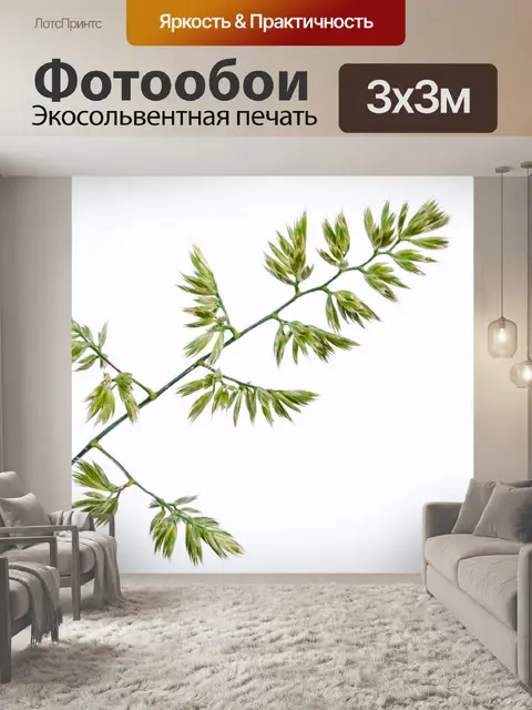 Фотообои Зеленые растения