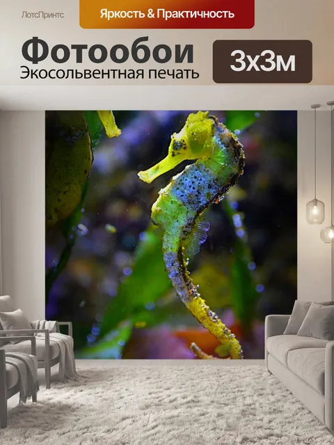 Фотообои Окружающая среда
