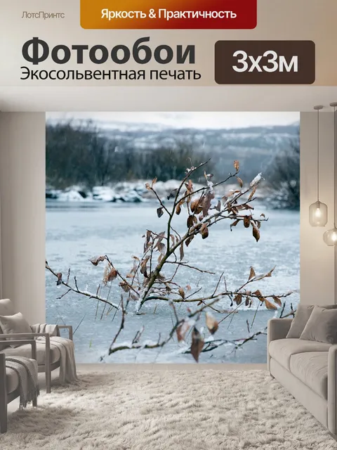 Фотообои Замороженный