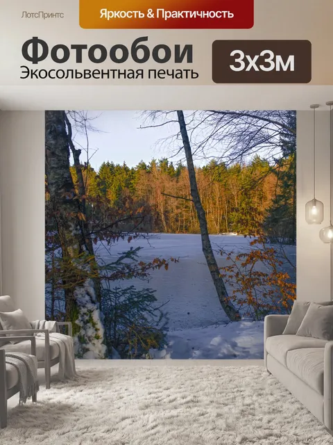 Фотообои Лес