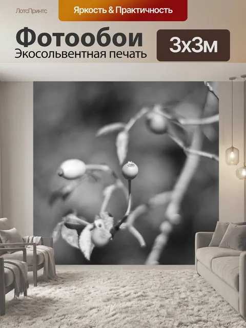 Фотообои Черный и белый